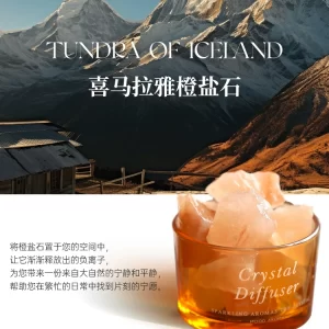 product name 19
